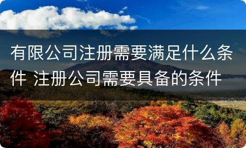 有限公司注册需要满足什么条件 注册公司需要具备的条件