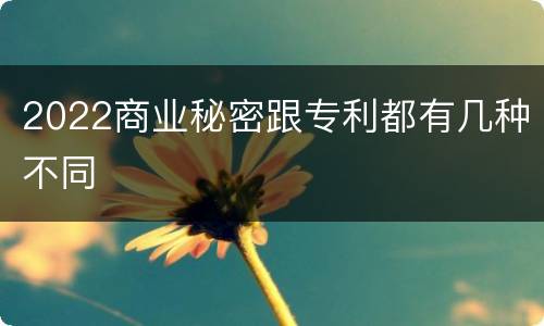 2022商业秘密跟专利都有几种不同