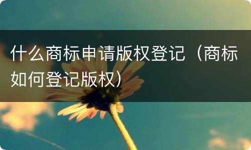 什么商标申请版权登记（商标如何登记版权）