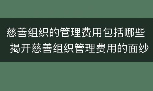 慈善组织的管理费用包括哪些 揭开慈善组织管理费用的面纱