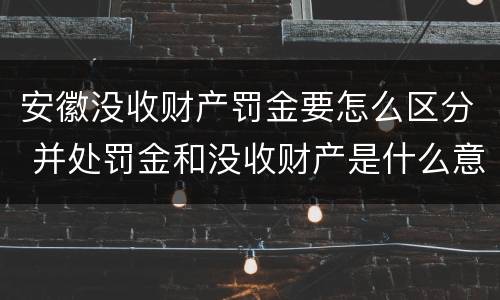 安徽没收财产罚金要怎么区分 并处罚金和没收财产是什么意思
