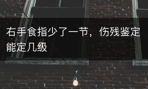 右手食指少了一节，伤残鉴定能定几级
