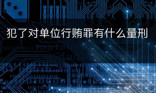 犯了对单位行贿罪有什么量刑