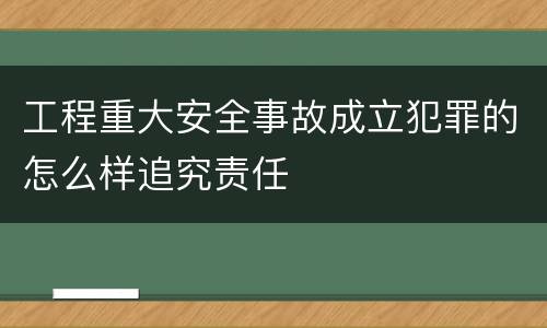 工程重大安全事故成立犯罪的怎么样追究责任