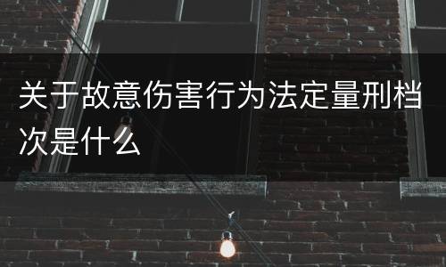 关于故意伤害行为法定量刑档次是什么