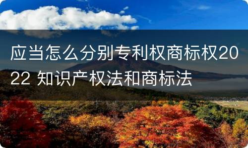 应当怎么分别专利权商标权2022 知识产权法和商标法
