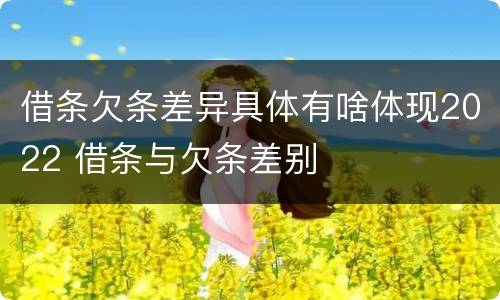 借条欠条差异具体有啥体现2022 借条与欠条差别