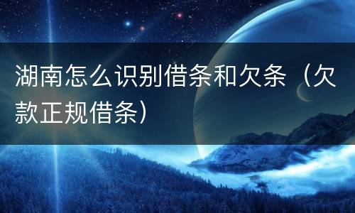 湖南怎么识别借条和欠条（欠款正规借条）