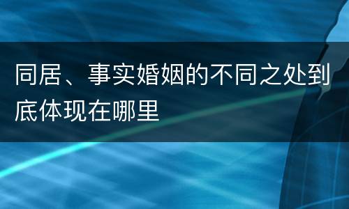 同居、事实婚姻的不同之处到底体现在哪里