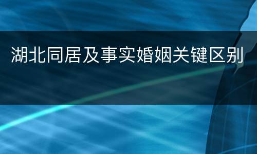 湖北同居及事实婚姻关键区别
