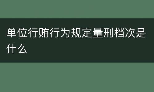 单位行贿行为规定量刑档次是什么