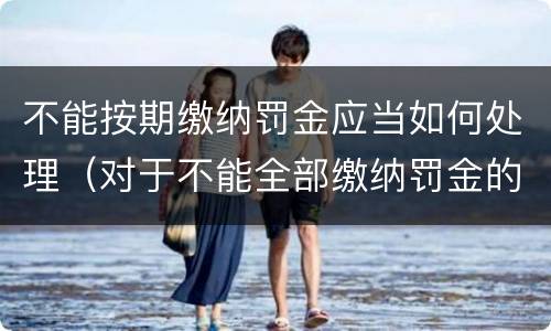 不能按期缴纳罚金应当如何处理（对于不能全部缴纳罚金的）