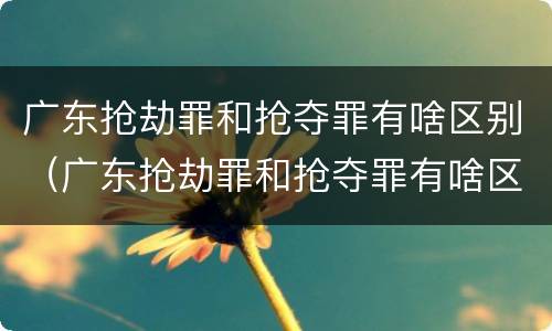 广东抢劫罪和抢夺罪有啥区别（广东抢劫罪和抢夺罪有啥区别呢）
