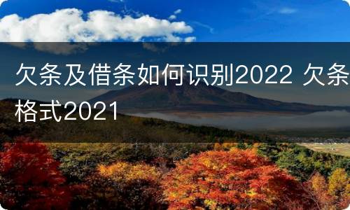 欠条及借条如何识别2022 欠条格式2021