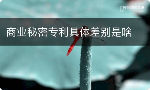 商业秘密专利具体差别是啥