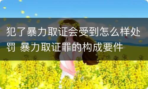 犯了暴力取证会受到怎么样处罚 暴力取证罪的构成要件