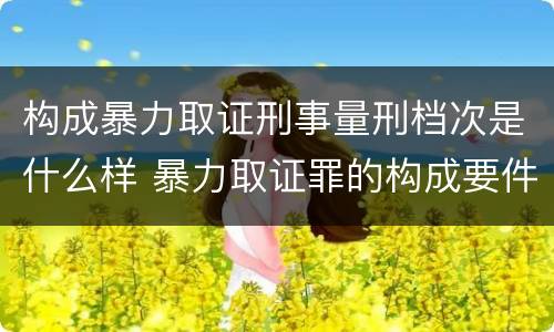 构成暴力取证刑事量刑档次是什么样 暴力取证罪的构成要件