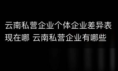 云南私营企业个体企业差异表现在哪 云南私营企业有哪些