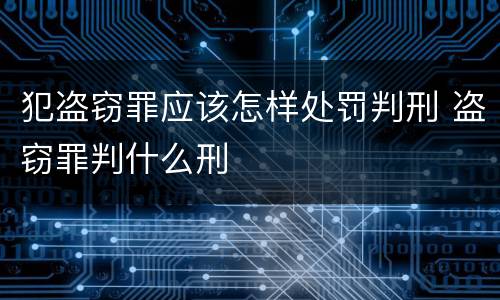 犯盗窃罪应该怎样处罚判刑 盗窃罪判什么刑