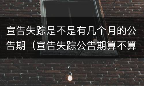 宣告失踪是不是有几个月的公告期（宣告失踪公告期算不算在两年里）