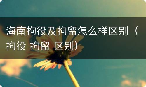 海南拘役及拘留怎么样区别（拘役 拘留 区别）