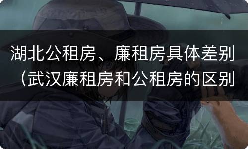 湖北公租房、廉租房具体差别（武汉廉租房和公租房的区别）