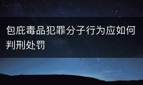 包庇毒品犯罪分子行为应如何判刑处罚