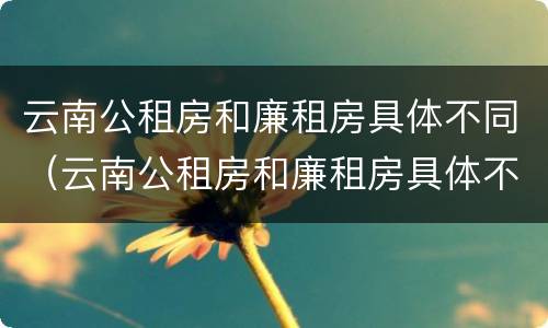 云南公租房和廉租房具体不同（云南公租房和廉租房具体不同在哪里）