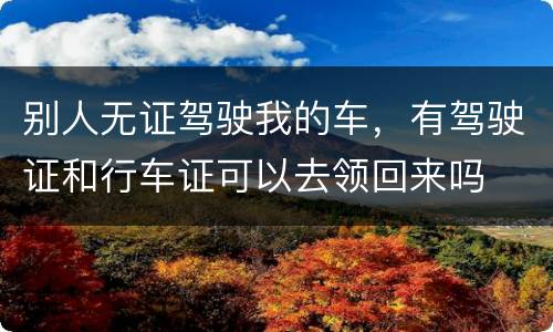 别人无证驾驶我的车，有驾驶证和行车证可以去领回来吗