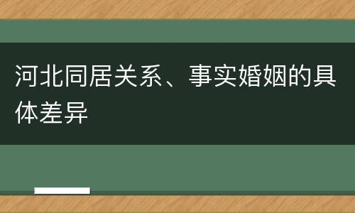 河北同居关系、事实婚姻的具体差异