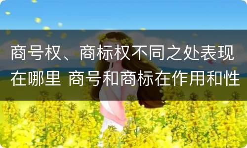 商号权、商标权不同之处表现在哪里 商号和商标在作用和性质上的区别