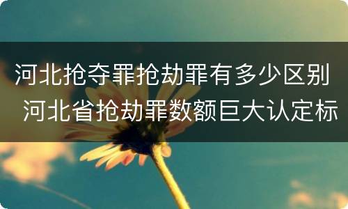 河北抢夺罪抢劫罪有多少区别 河北省抢劫罪数额巨大认定标准