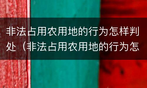 非法占用农用地的行为怎样判处（非法占用农用地的行为怎样判处刑事）