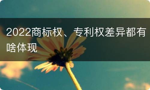 2022商标权、专利权差异都有啥体现