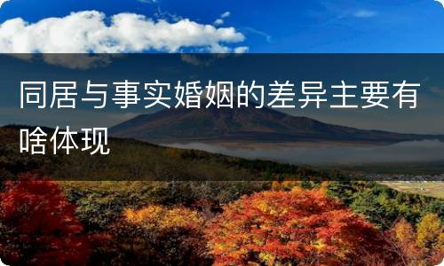 同居与事实婚姻的差异主要有啥体现