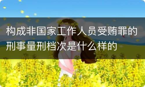 构成非国家工作人员受贿罪的刑事量刑档次是什么样的