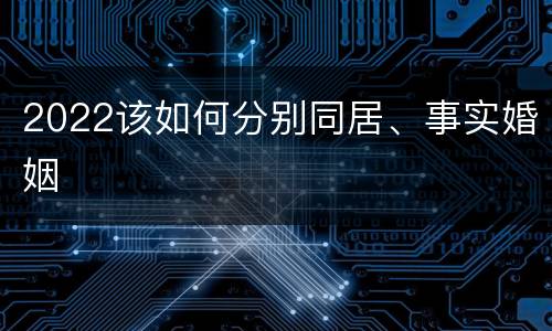 2022该如何分别同居、事实婚姻