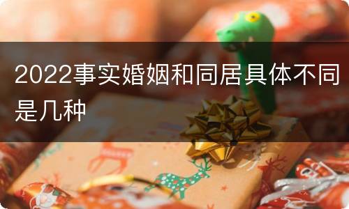 2022事实婚姻和同居具体不同是几种
