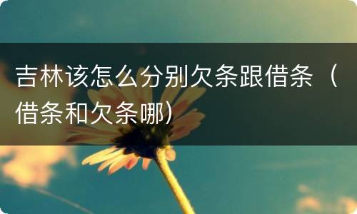 吉林该怎么分别欠条跟借条（借条和欠条哪）