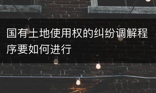 国有土地使用权的纠纷调解程序要如何进行