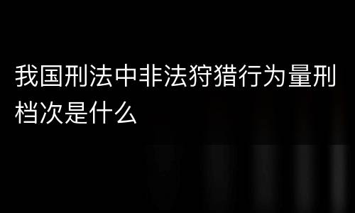 我国刑法中非法狩猎行为量刑档次是什么