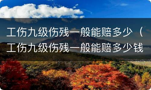工伤九级伤残一般能赔多少（工伤九级伤残一般能赔多少钱）