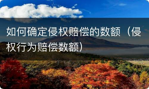 如何确定侵权赔偿的数额（侵权行为赔偿数额）