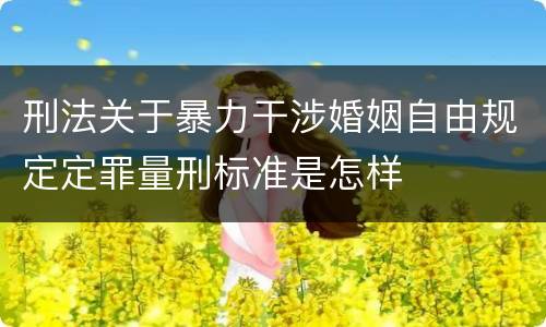 刑法关于暴力干涉婚姻自由规定定罪量刑标准是怎样