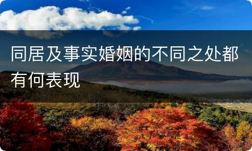 同居及事实婚姻的不同之处都有何表现