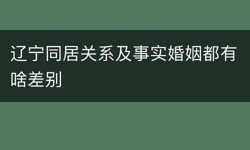 辽宁同居关系及事实婚姻都有啥差别