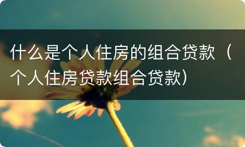 什么是个人住房的组合贷款（个人住房贷款组合贷款）