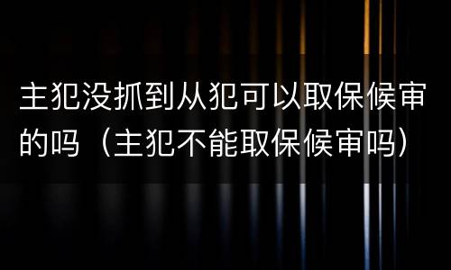 主犯没抓到从犯可以取保候审的吗（主犯不能取保候审吗）
