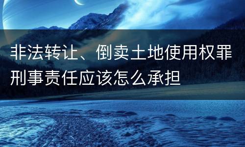 非法转让、倒卖土地使用权罪刑事责任应该怎么承担
