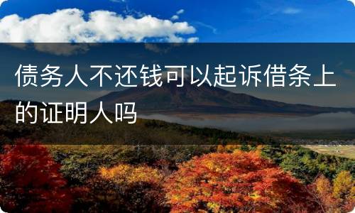 债务人不还钱可以起诉借条上的证明人吗
